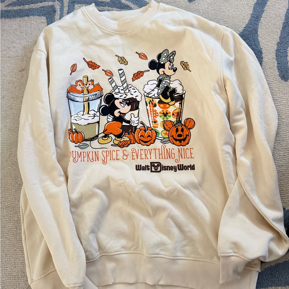NEW! 2025 Disney World Halloween Pumpkin Spice & Everything Nice Sweatshirt | L